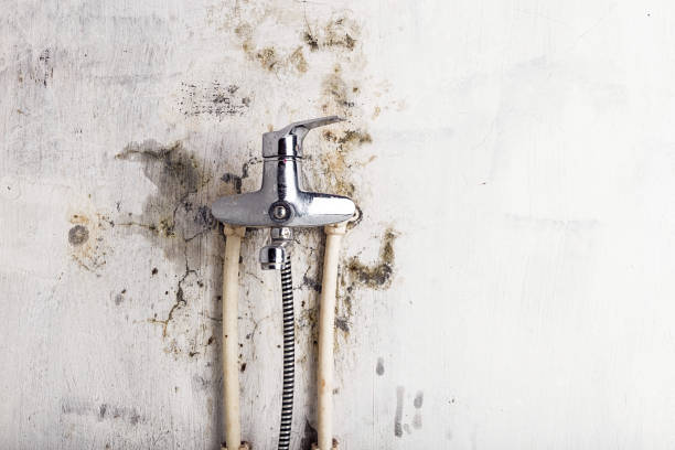 Best Water Damage Restoration  in Maxwell, CA