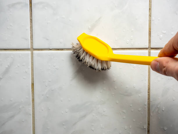 Best Black Mold Removal  in Maxwell, CA