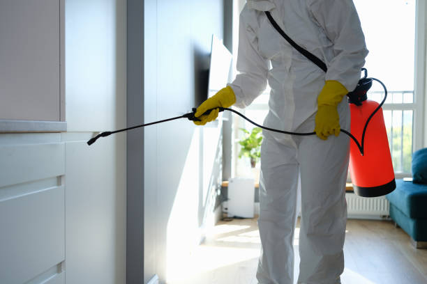 Best Mold Damage Repair  in Maxwell, CA