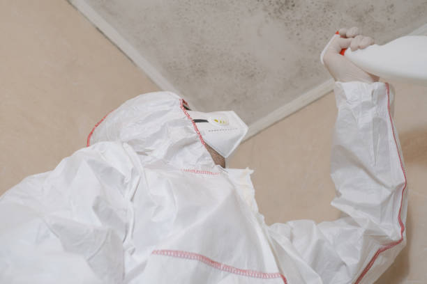 Best Mold Remediation Services  in Maxwell, CA